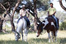 Zimbabwe-Hwange-Hwange Explorer Safari